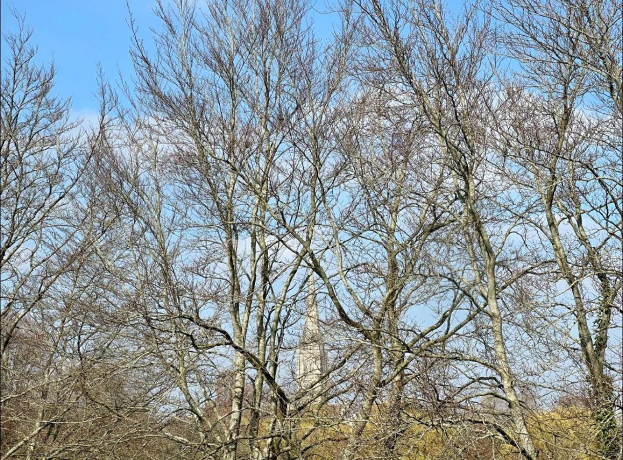 Close To Salisbury Cathedral المظهر الخارجي الصورة